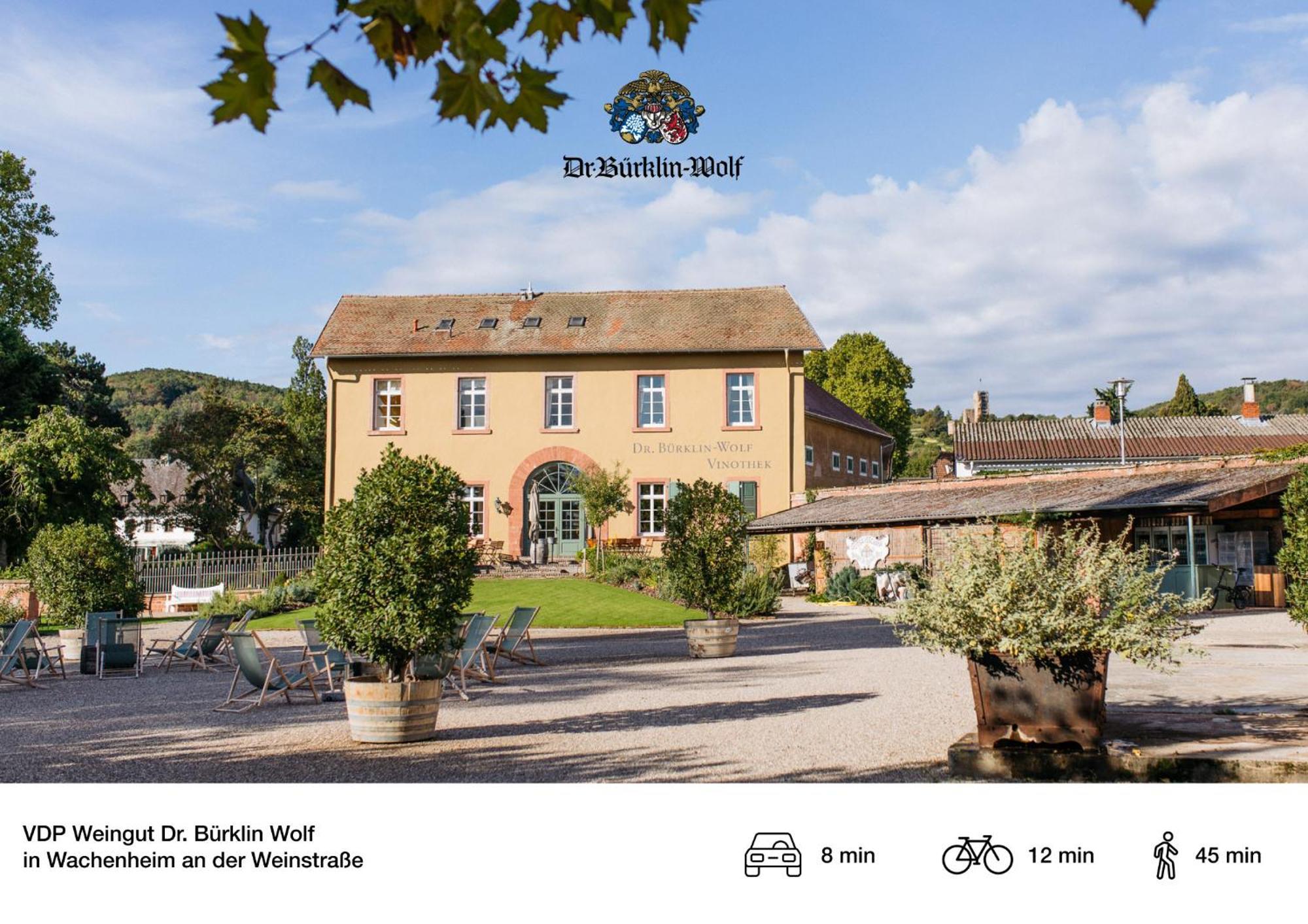 Privates Ferienhaus Mit Pool & Whirlpool Zentral In Bad Dürkheim Exterior foto